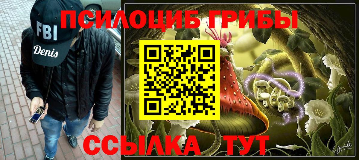 Псилоцибиновые грибы Psilocybe  Вход с VPN  магазин продажи наркотиков  Галлюциногенные грибы ЛСД  Ногинск 
